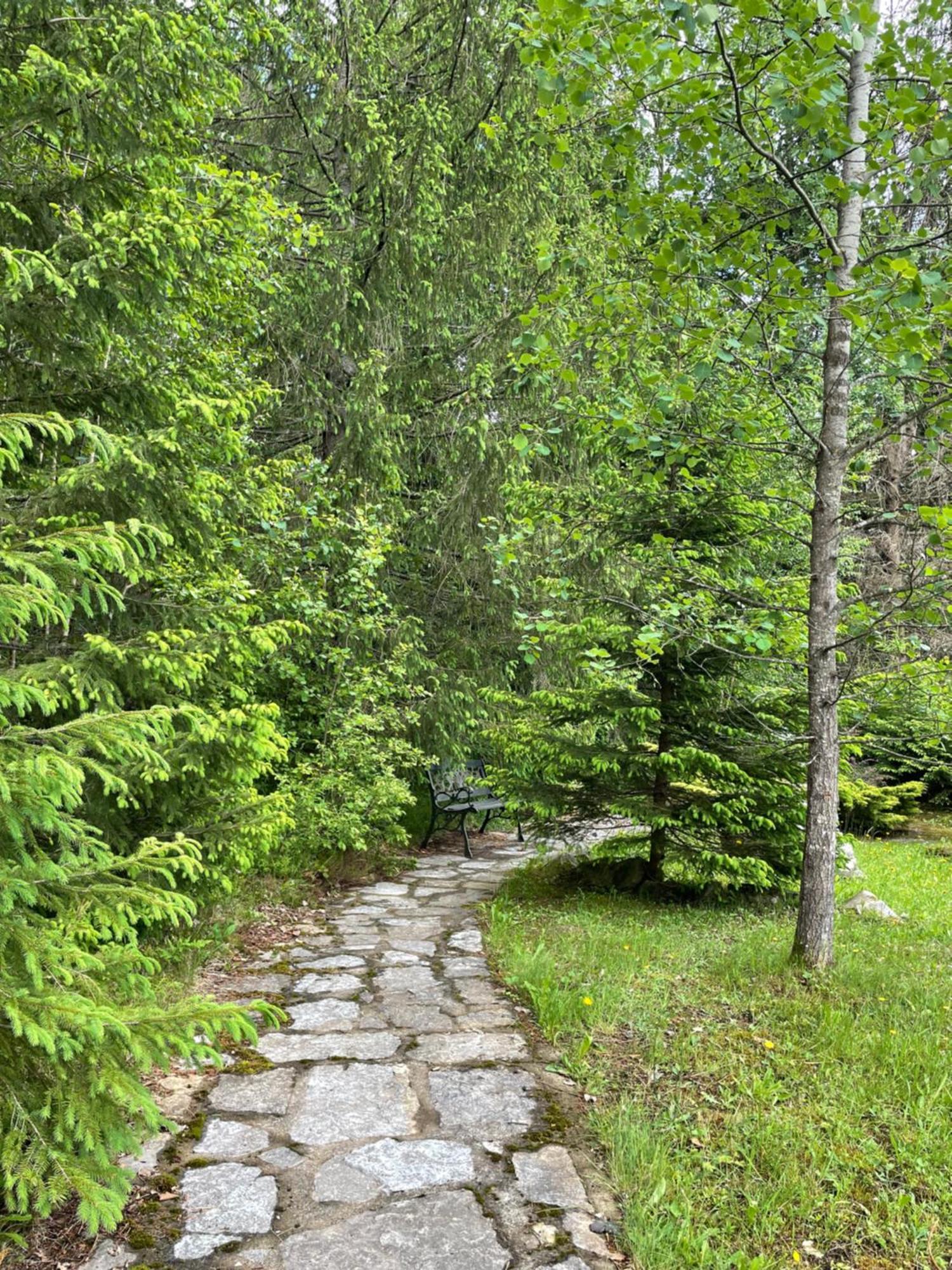 Relaxation In Guta Гута Покращене Шале 外观 照片